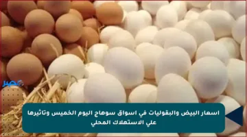 أسعار البيض والبقوليات في أسواق سوهاج اليوم الخميس وتأثيرها على الاستهلاك المحلي